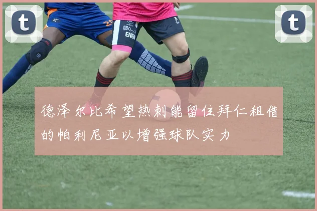 德泽尔比希望热刺能留住拜仁租借的帕利尼亚以增强球队实力