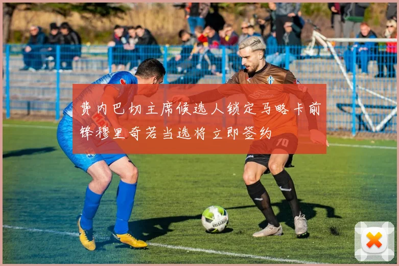 费内巴切主席候选人锁定马略卡前锋穆里奇若当选将立即签约